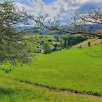 In Silbecke Mit Pool Und Wald